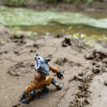 Разведчики Лугару