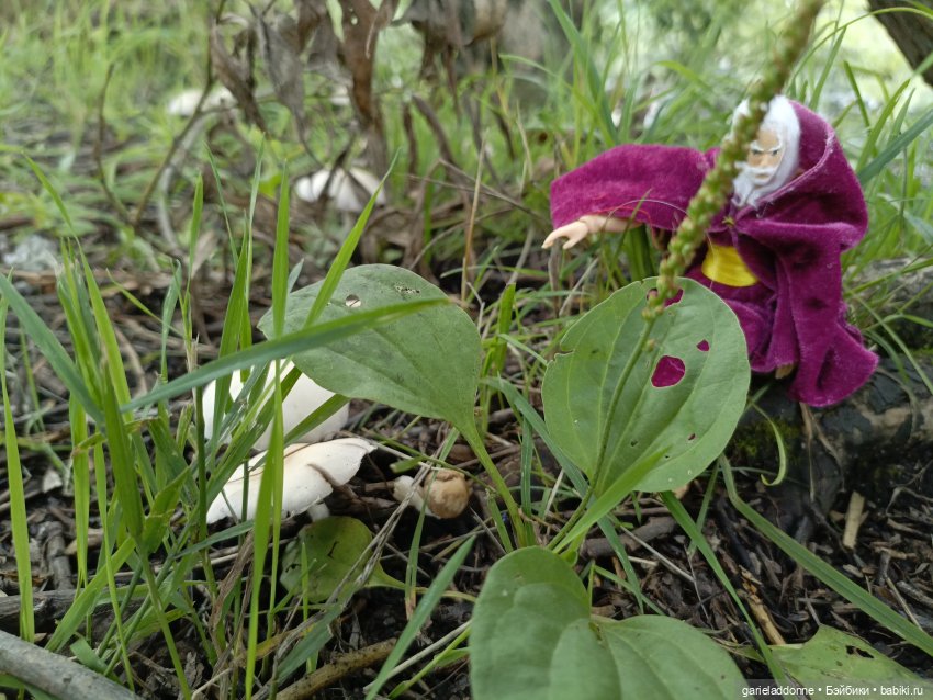 Ученики Ересиарха — Зарисовки из кукольной жизни: фотоистории