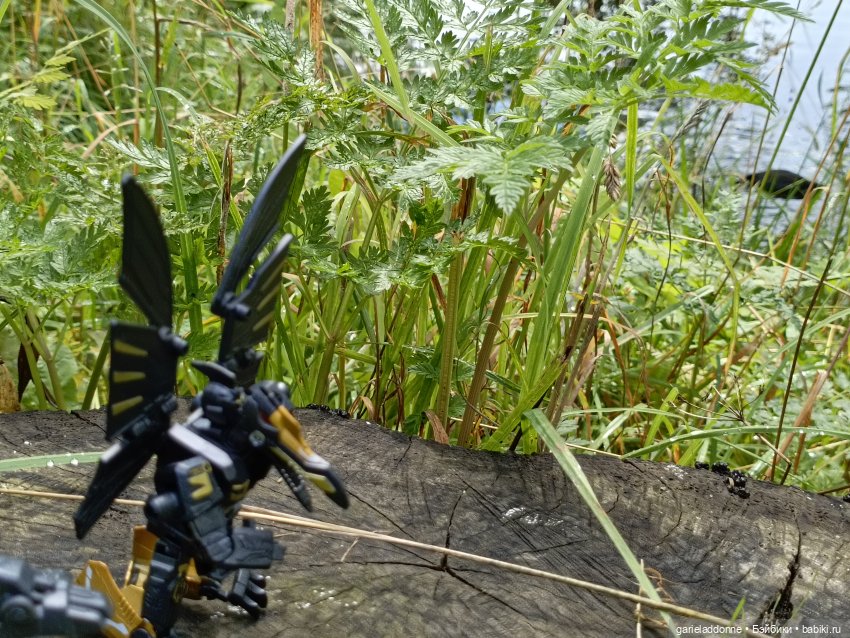 Ученики Ересиарха — Зарисовки из кукольной жизни: фотоистории