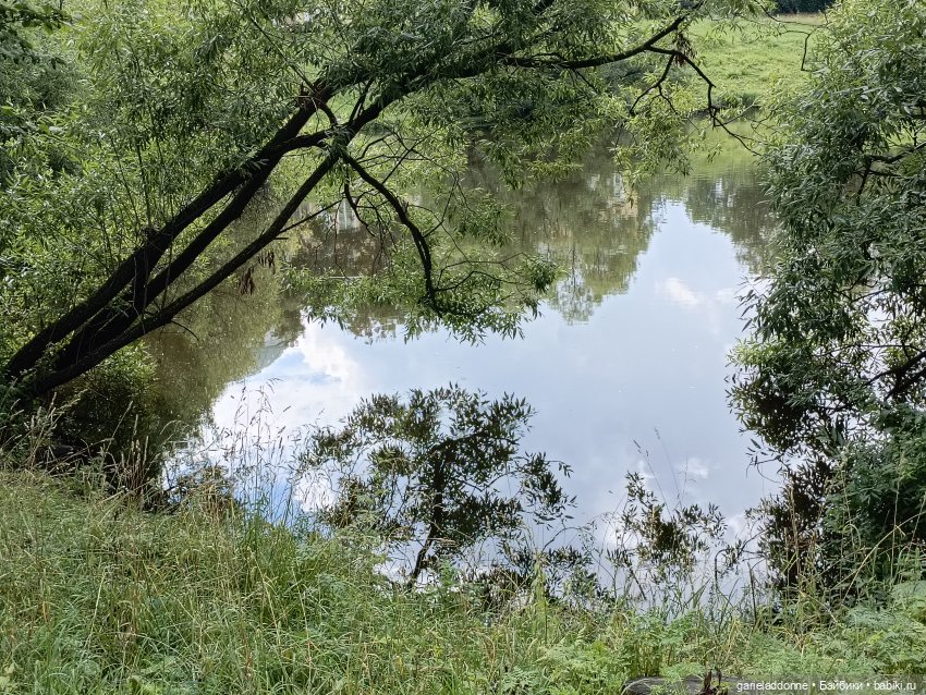 Ученики Ересиарха — Зарисовки из кукольной жизни: фотоистории