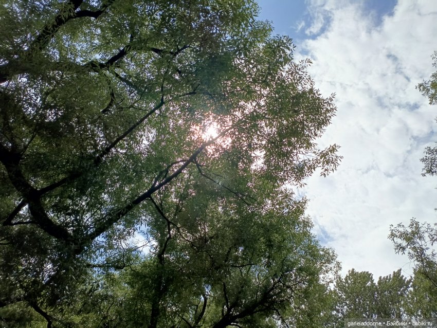 Ученики Ересиарха — Зарисовки из кукольной жизни: фотоистории