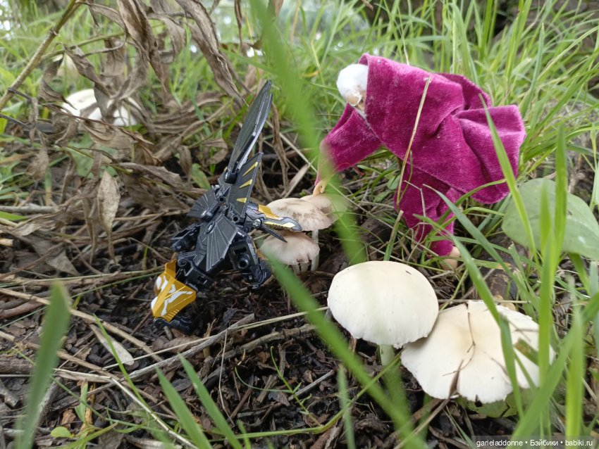 Ученики Ересиарха — Зарисовки из кукольной жизни: фотоистории