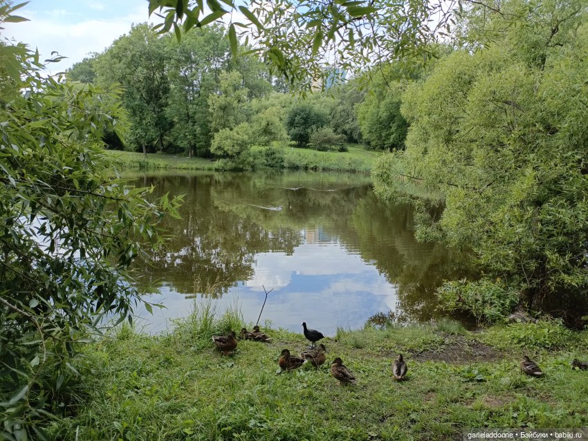 Ученики Ересиарха — Зарисовки из кукольной жизни: фотоистории