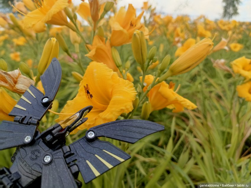 Ученики Ересиарха — Зарисовки из кукольной жизни: фотоистории
