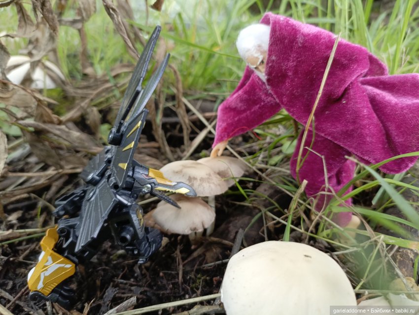 Ученики Ересиарха — Зарисовки из кукольной жизни: фотоистории