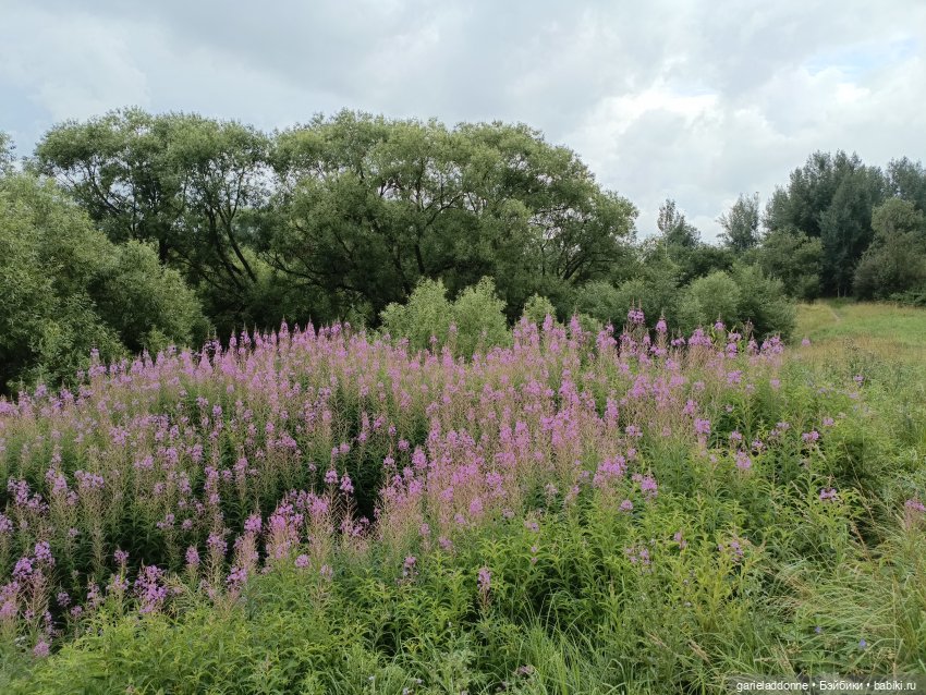 Ученики Ересиарха — Зарисовки из кукольной жизни: фотоистории