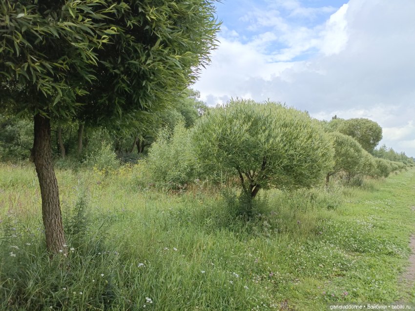 Ученики Ересиарха — Зарисовки из кукольной жизни: фотоистории