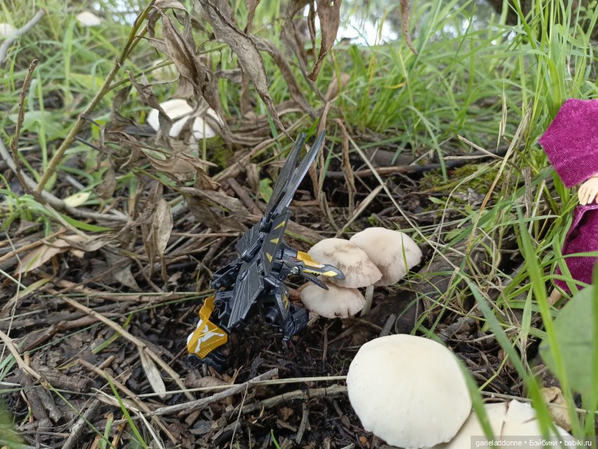 Ученики Ересиарха — Зарисовки из кукольной жизни: фотоистории