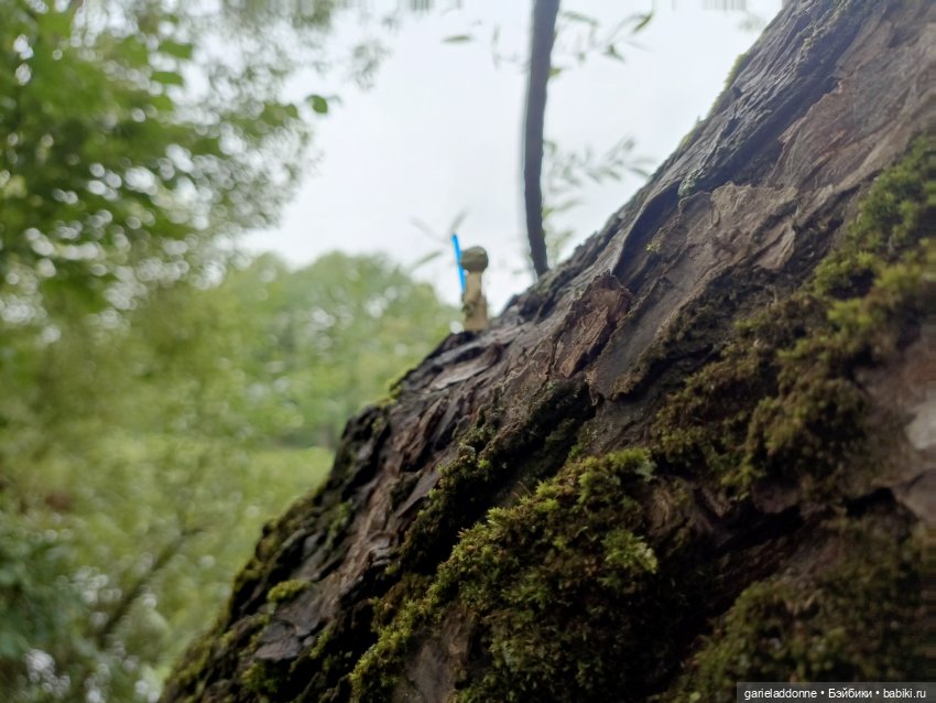 Йода магистр великий прогулке на (фото 9)
