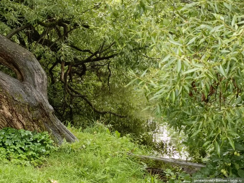 Йода магистр великий прогулке на