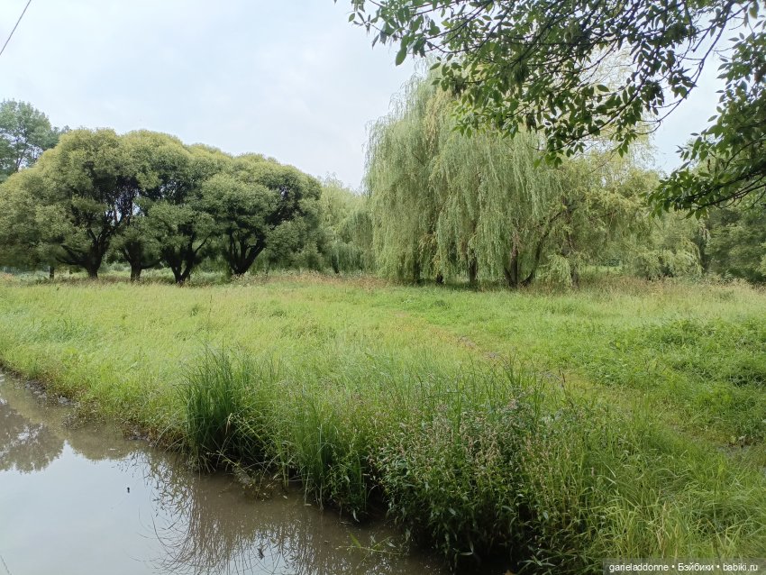 Йода магистр великий прогулке на