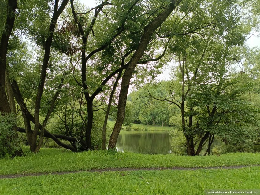 Йода магистр великий прогулке на (фото 5)