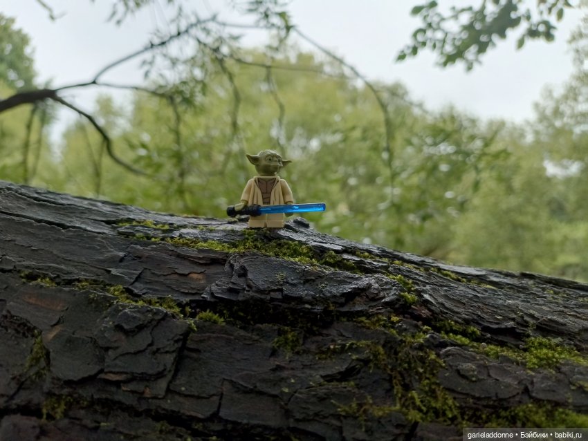 Йода магистр великий прогулке на (фото 8)