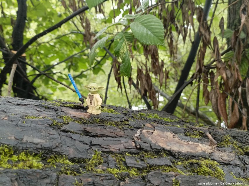Йода магистр великий прогулке на (фото 6)