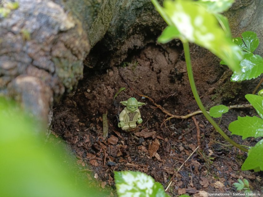 Йода магистр великий прогулке на