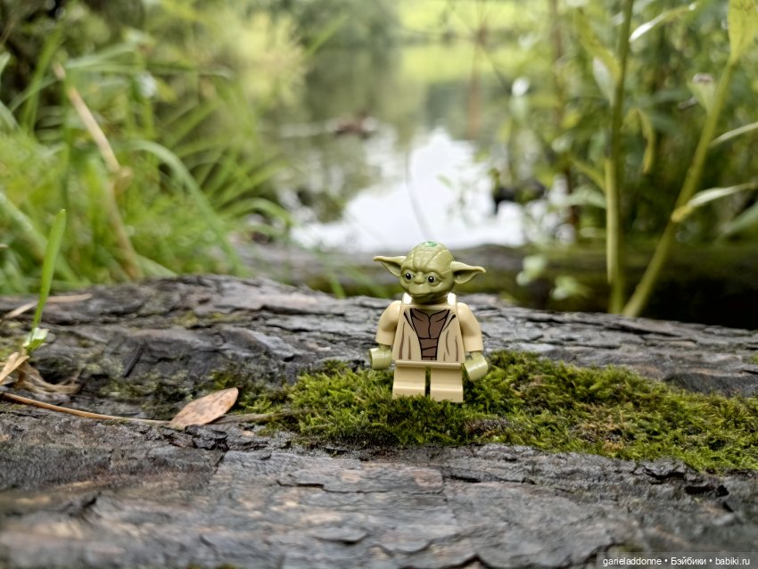 Йода магистр великий прогулке на