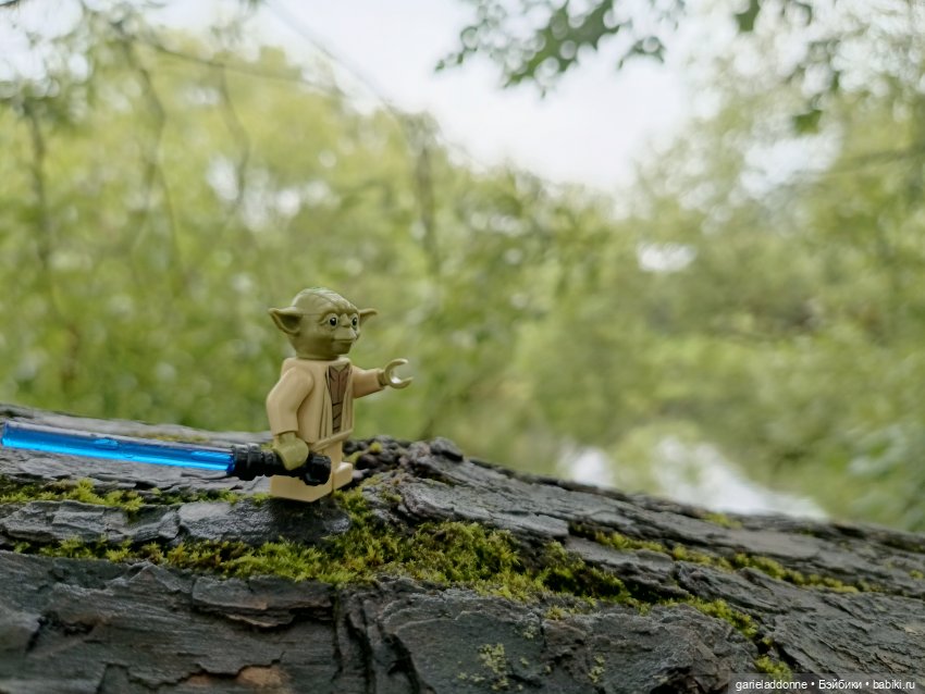 Йода магистр великий прогулке на (фото 10)