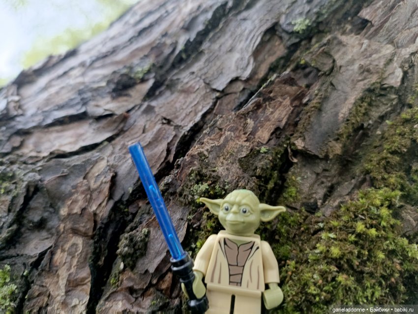 Йода магистр великий прогулке на (фото 4)