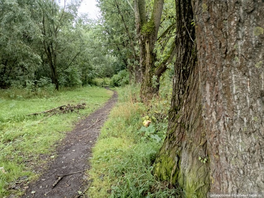 Йода магистр великий прогулке на