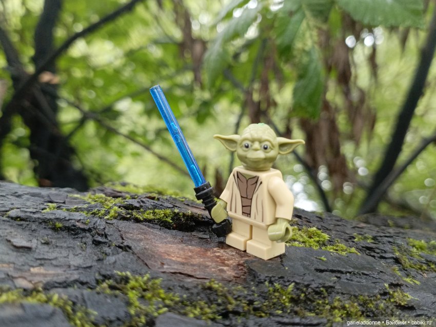 Йода магистр великий прогулке на (фото 7)