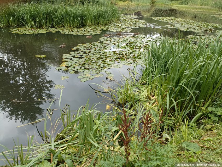 Сад Императора — Туризм и путешествия: фотоотчеты из поездок