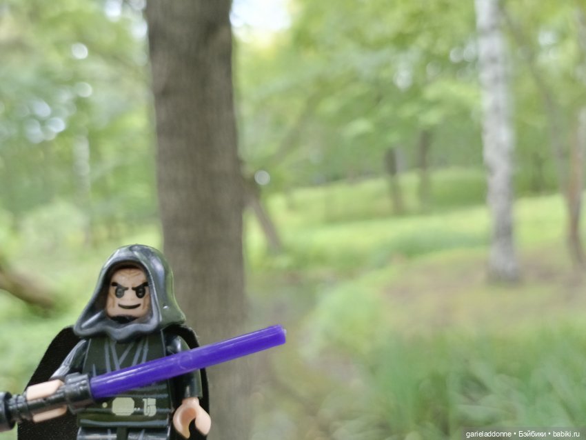 Сад Императора — Туризм и путешествия: фотоотчеты из поездок (фото 7)