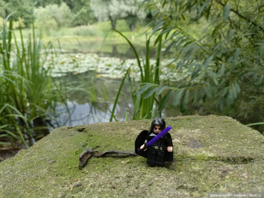 Сад Императора — Туризм и путешествия: фотоотчеты из поездок