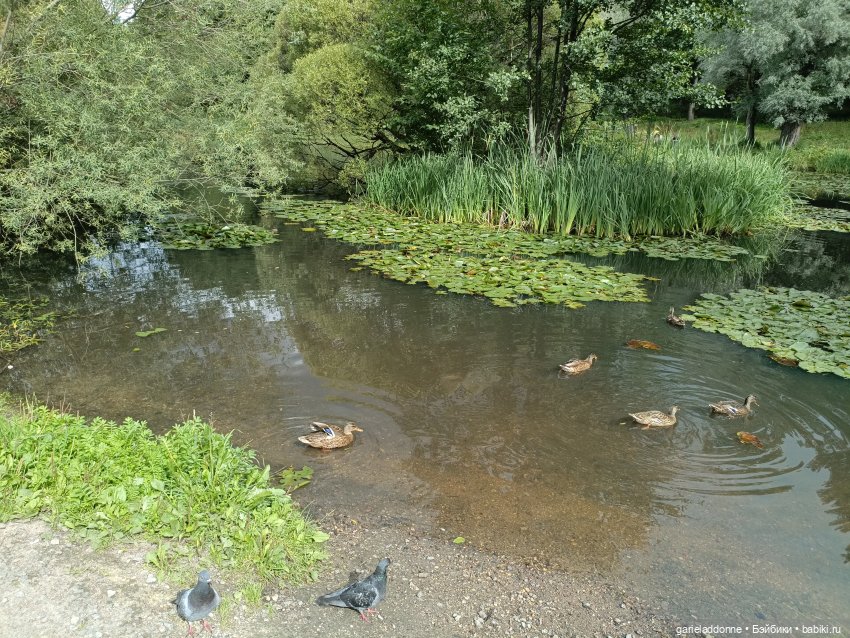 Сад Императора — Туризм и путешествия: фотоотчеты из поездок