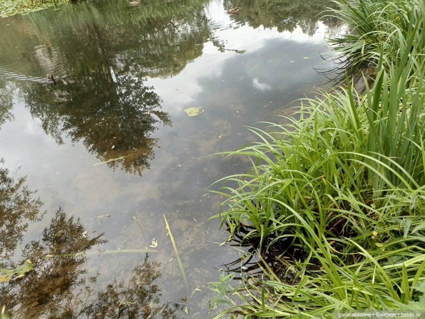 Сад Императора — Туризм и путешествия: фотоотчеты из поездок (фото 6)