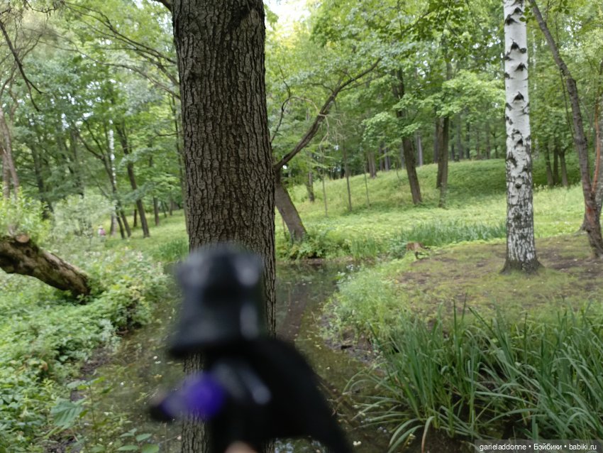 Сад Императора — Туризм и путешествия: фотоотчеты из поездок (фото 5)