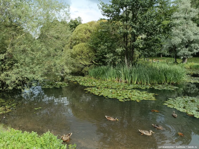 Сад Императора — Туризм и путешествия: фотоотчеты из поездок (фото 9)