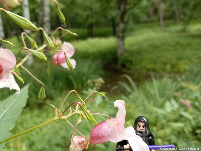 Сад Императора — Туризм и путешествия: фотоотчеты из поездок