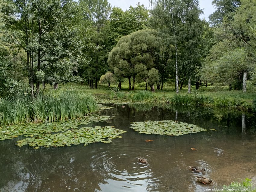 Сад Императора — Туризм и путешествия: фотоотчеты из поездок (фото 4)