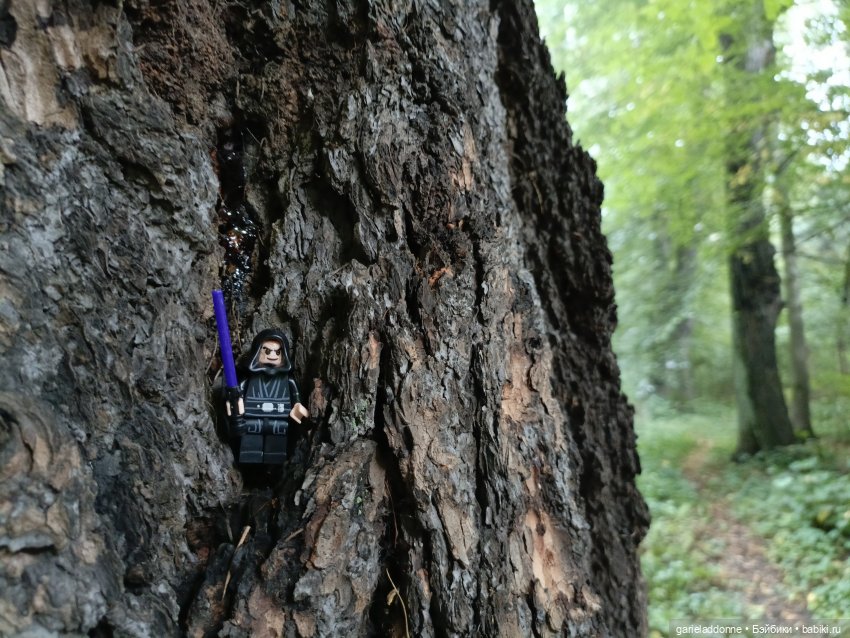 Сад Императора — Туризм и путешествия: фотоотчеты из поездок