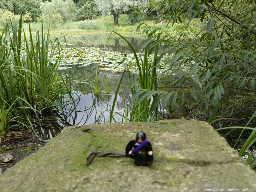 Сад Императора — Туризм и путешествия: фотоотчеты из поездок (фото 2)