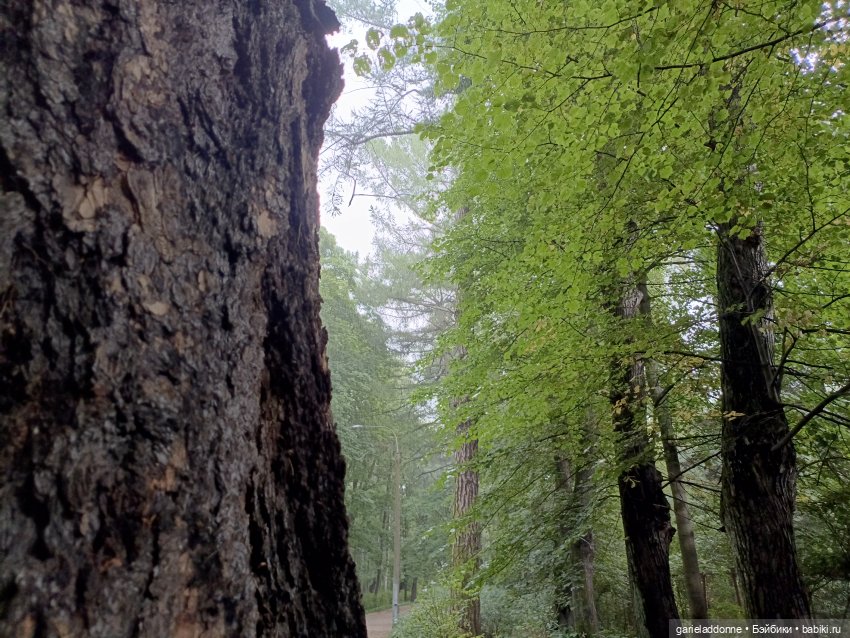 Сад Императора — Туризм и путешествия: фотоотчеты из поездок