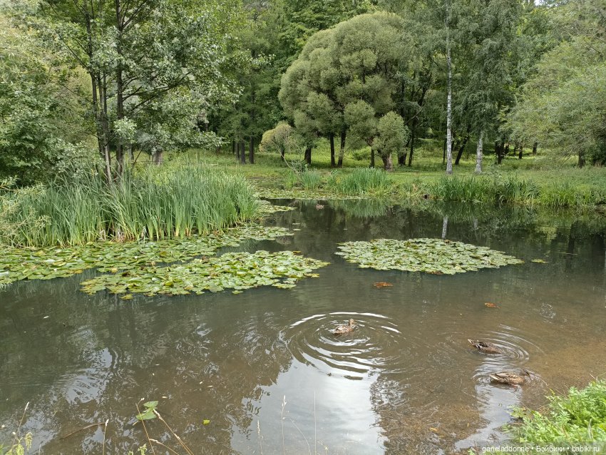Сад Императора — Туризм и путешествия: фотоотчеты из поездок (фото 10)
