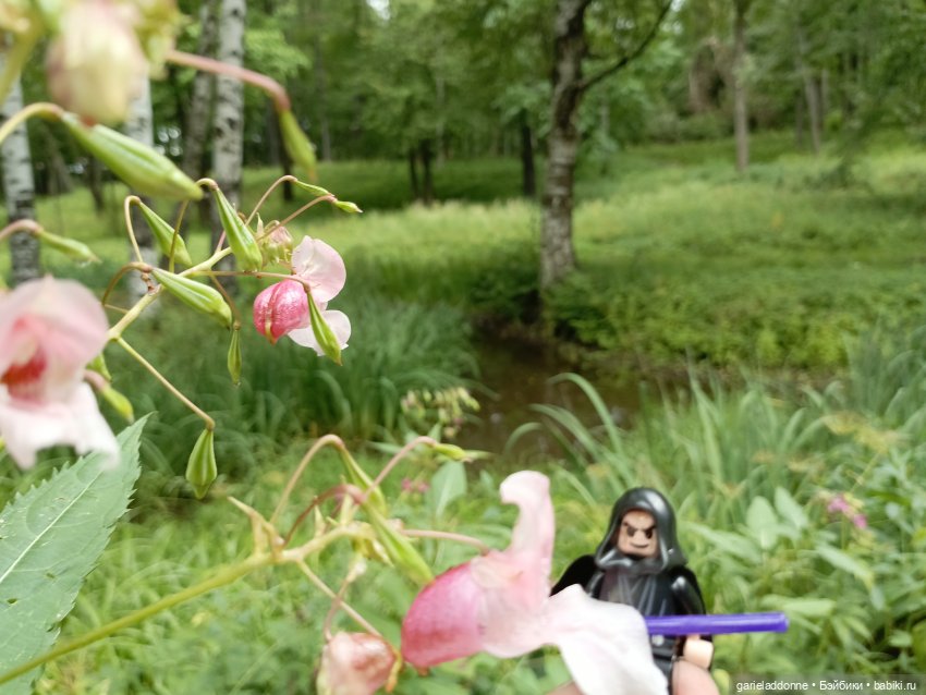 Сад Императора — Туризм и путешествия: фотоотчеты из поездок