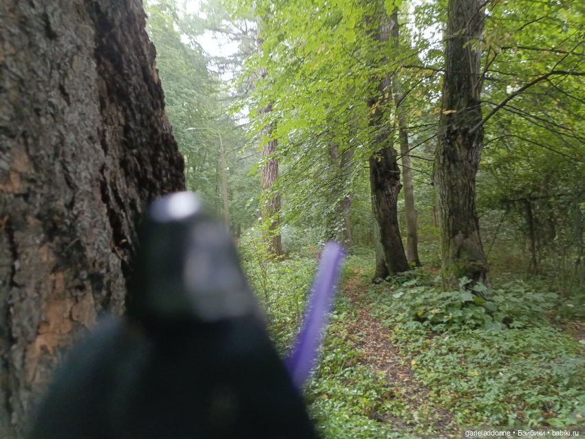 Сад Императора — Туризм и путешествия: фотоотчеты из поездок