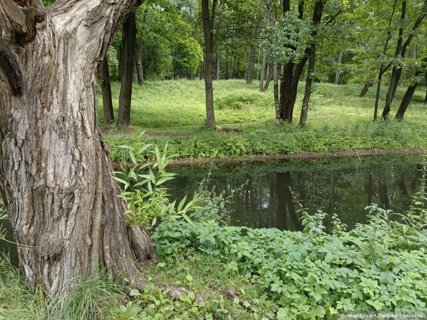 Сад Императора — Туризм и путешествия: фотоотчеты из поездок