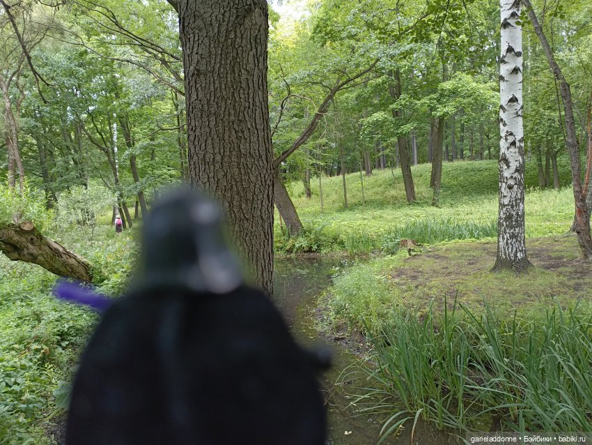 Сад Императора — Туризм и путешествия: фотоотчеты из поездок