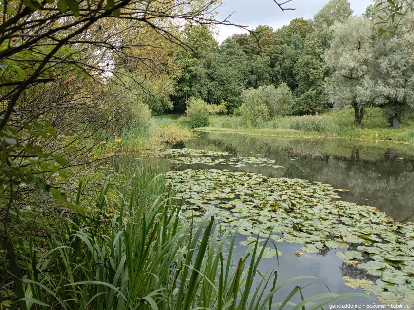 Сад Императора — Туризм и путешествия: фотоотчеты из поездок (фото 3)
