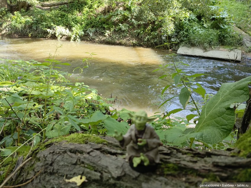 И снова немного Магистра Йоды на природе (фото 2)
