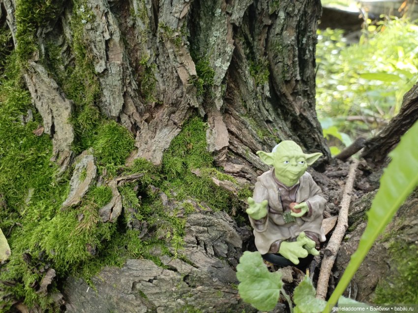 И снова немного Магистра Йоды на природе (фото 3)