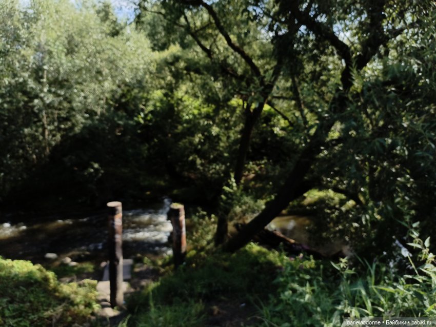 И снова немного Магистра Йоды на природе