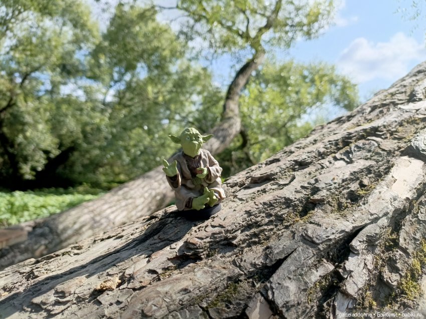 И снова немного Магистра Йоды на природе (фото 8)