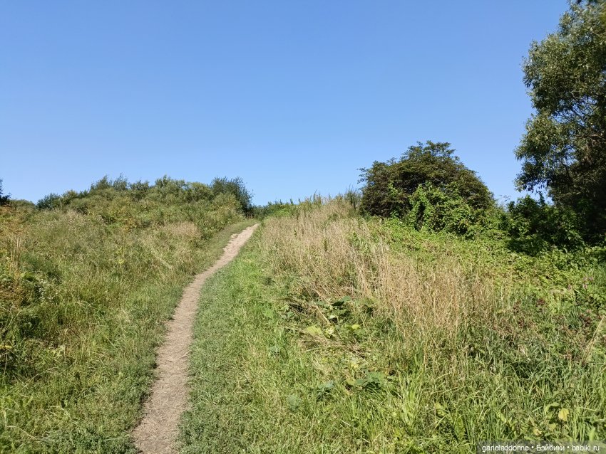 И снова немного Магистра Йоды на природе