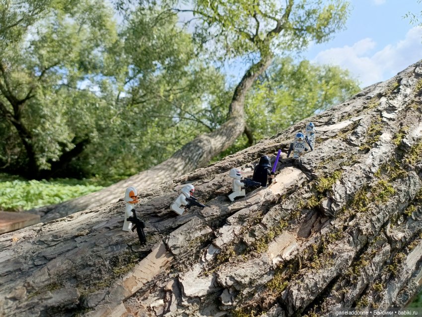 И снова немного Магистра Йоды на природе (фото 6)