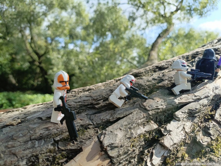 И снова немного Магистра Йоды на природе (фото 5)