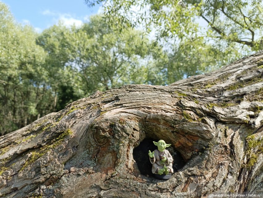 И снова немного Магистра Йоды на природе